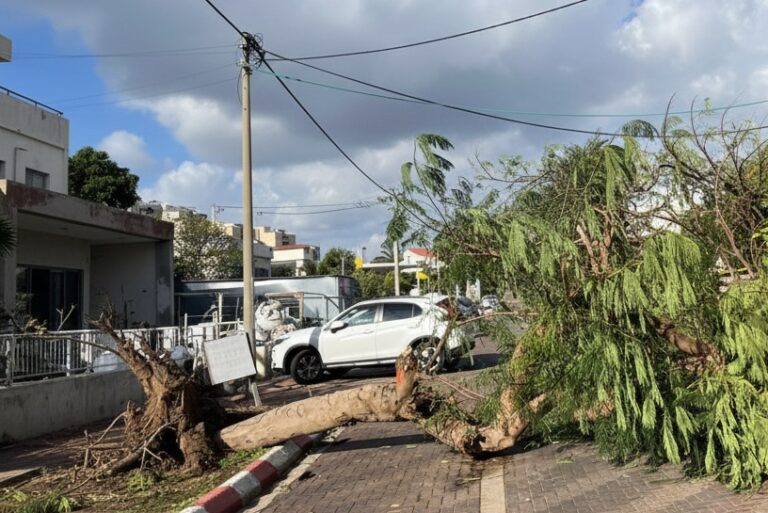 עץ קרס בכניסה לרחוב הורדים – הרחוב חסום; העירייה מטפלת באירוע