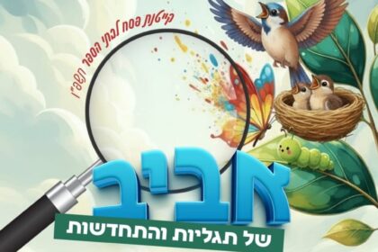 ‏תמונה מתוך פרסום של מתנ״ס יהוד