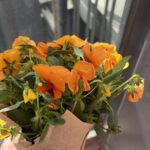 ‏חלוקת פרחים בביג יהוד