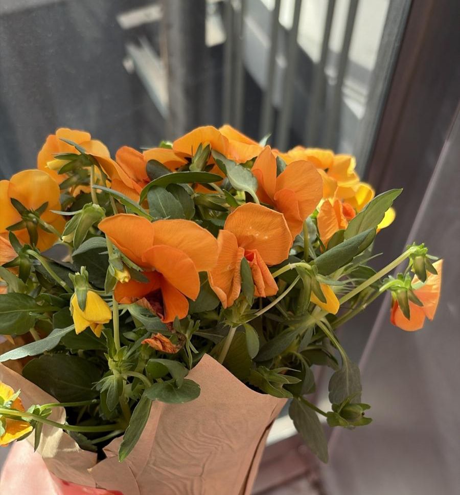 ‏חלוקת פרחים בביג יהוד