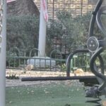 ‏צילום: תושב העיר