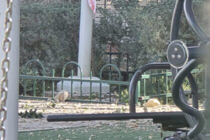 צילום: תושב העיר