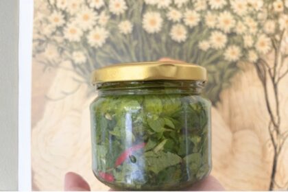 ‏תמונה: שקד פרא